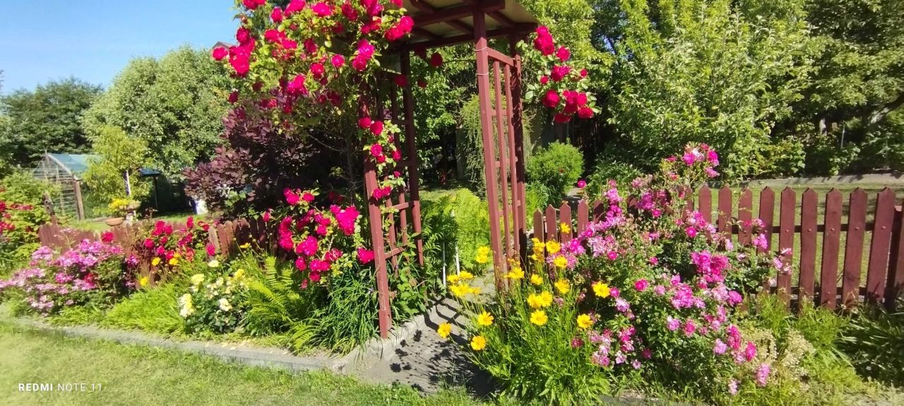 Działka rod Lublin, ul. Wilcza. Zdjęcie 5