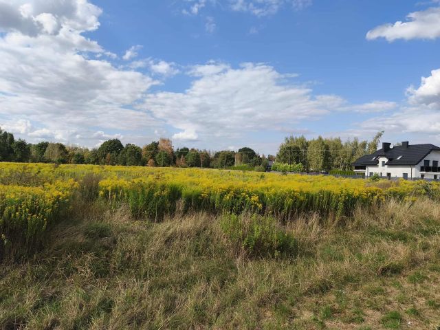 Działka rolno-budowlana Łuków, ul. Międzyrzecka. Zdjęcie 1