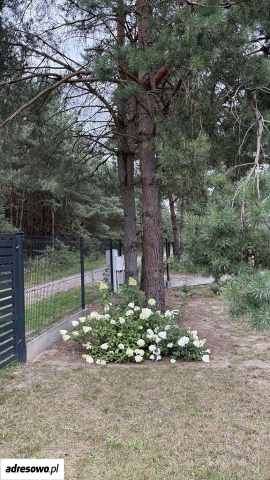 Działka budowlana Wężyk. Zdjęcie 12