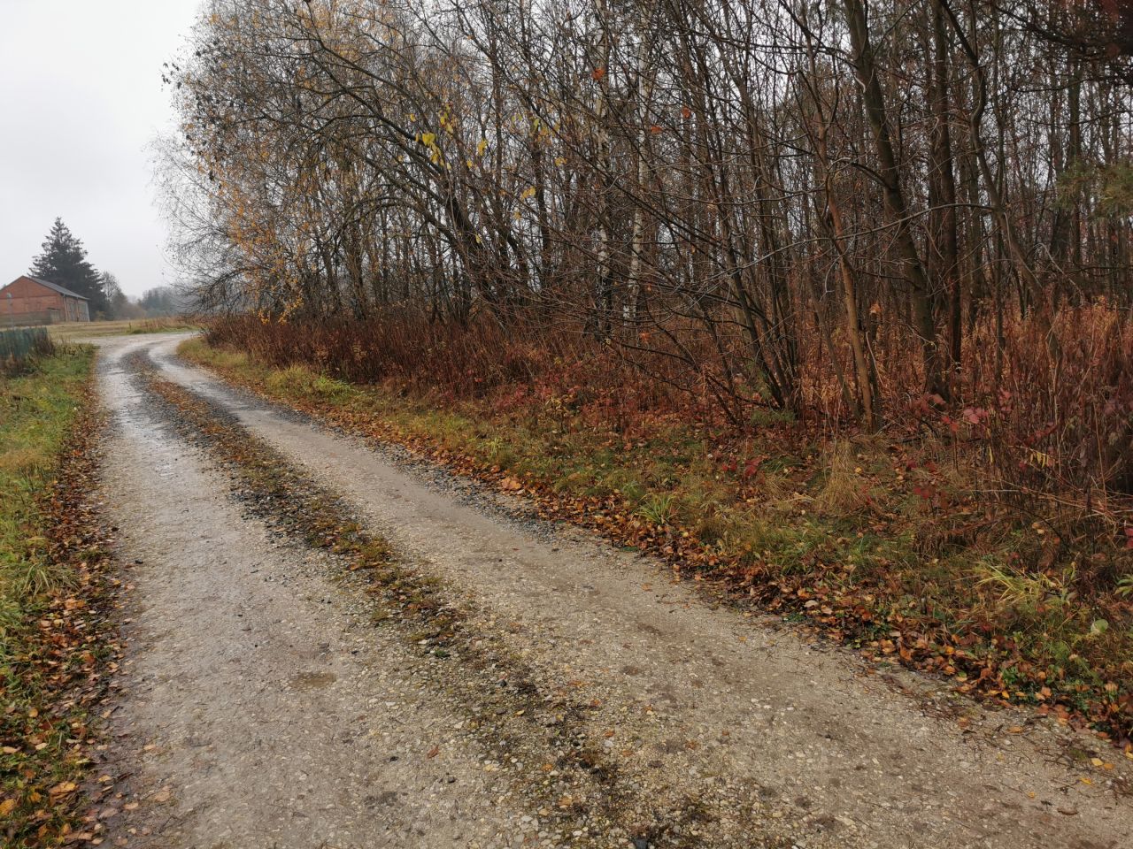 Działka budowlana Leokadiów, ul. Zacisze. Zdjęcie 4