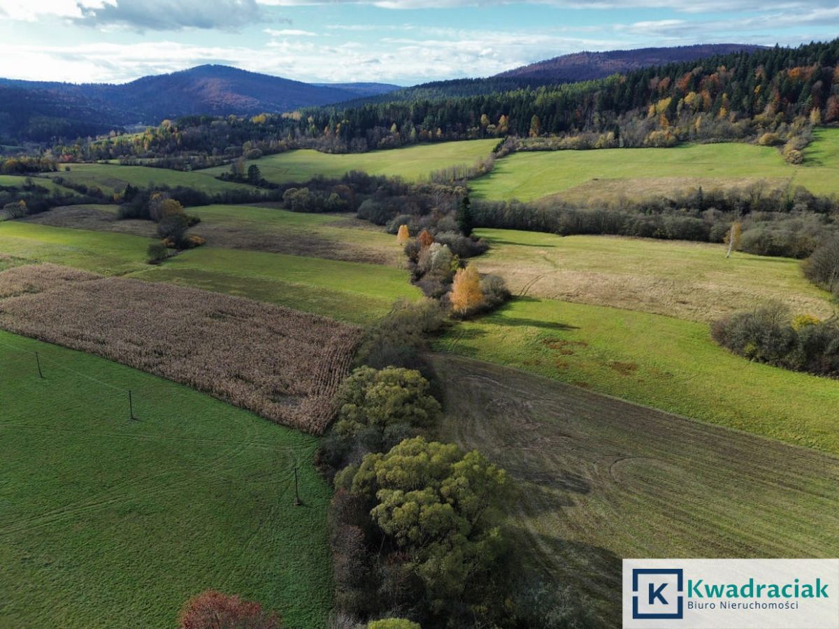 Działka rolna Daliowa. Zdjęcie 7