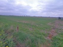 Działka budowlana Dębina, Dębina. Zdjęcie 4