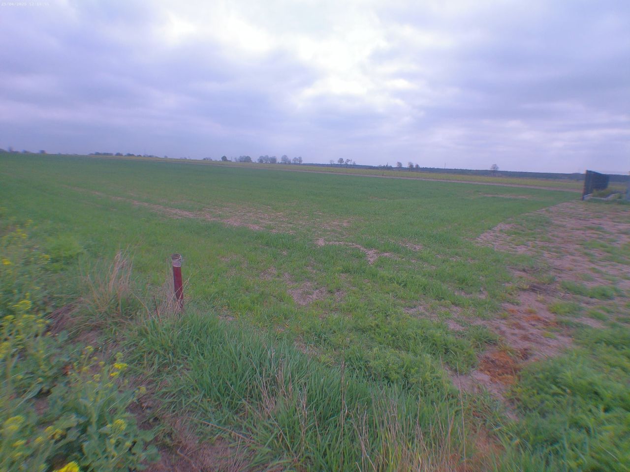 Działka budowlana Dębina, Dębina. Zdjęcie 5