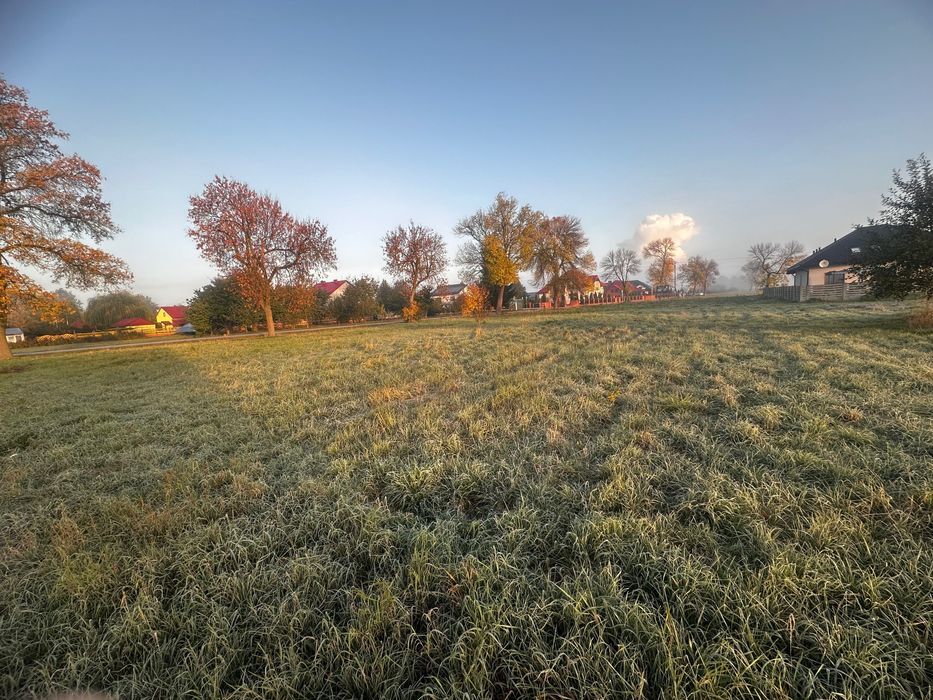 Działka budowlana Wiewiórów. Zdjęcie 5
