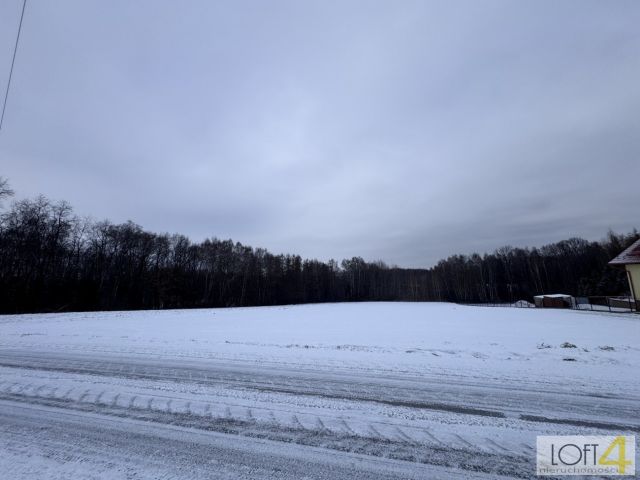 Działka rolno-budowlana Wojnicz. Zdjęcie 1