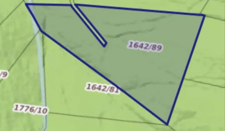 Działka leśna Tylmanowa