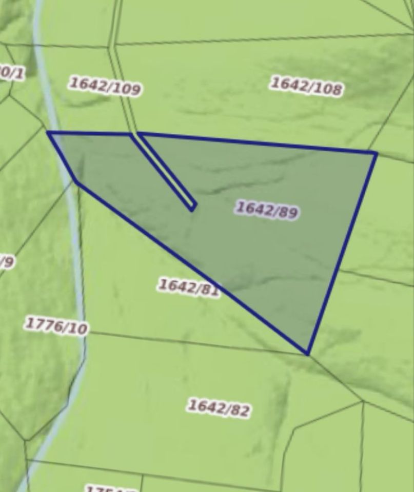 Działka leśna Tylmanowa. Zdjęcie 1