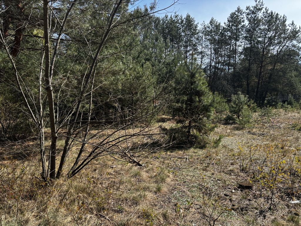 Działka rekreacyjna Dzbądzek. Zdjęcie 4