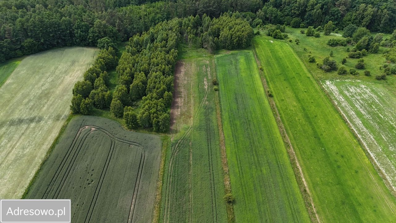 Działka rolna Kaczkowo. Zdjęcie 8
