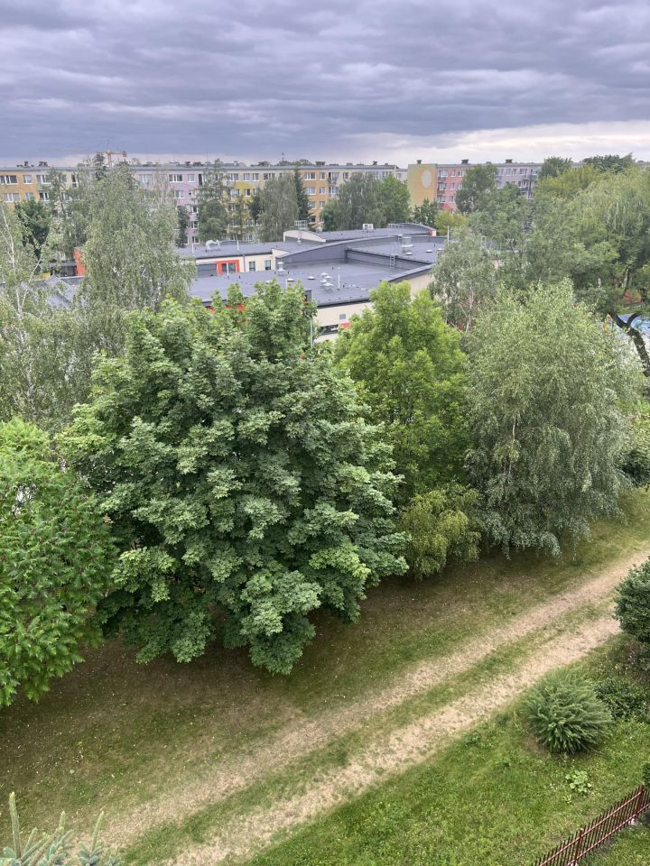 Mieszkanie 3-pokojowe Skierniewice Centrum, ul. Mikołaja Kopernika. Zdjęcie 20