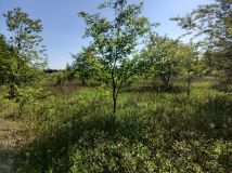 Działka budowlana Dziekanów Polski, ul. Odysei. Zdjęcie 2