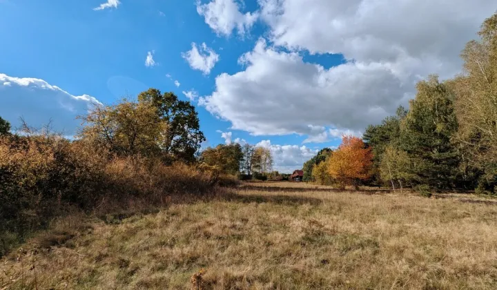 Działka siedliskowa Czarnowiec