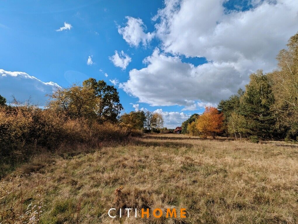 Działka siedliskowa Czarnowiec. Zdjęcie 1