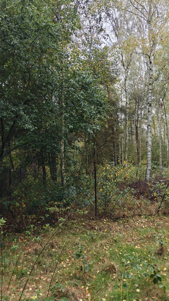 Działka budowlana Nowe Chrusty, ul. Klonowa. Zdjęcie 5