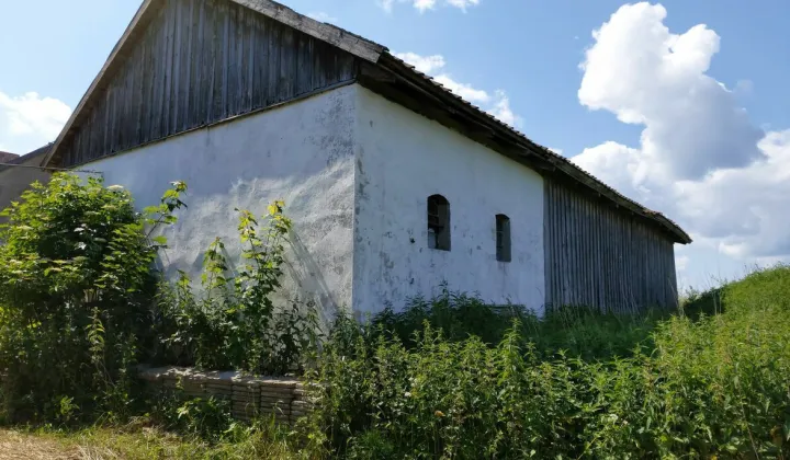 Działka rolno-budowlana Sągnity