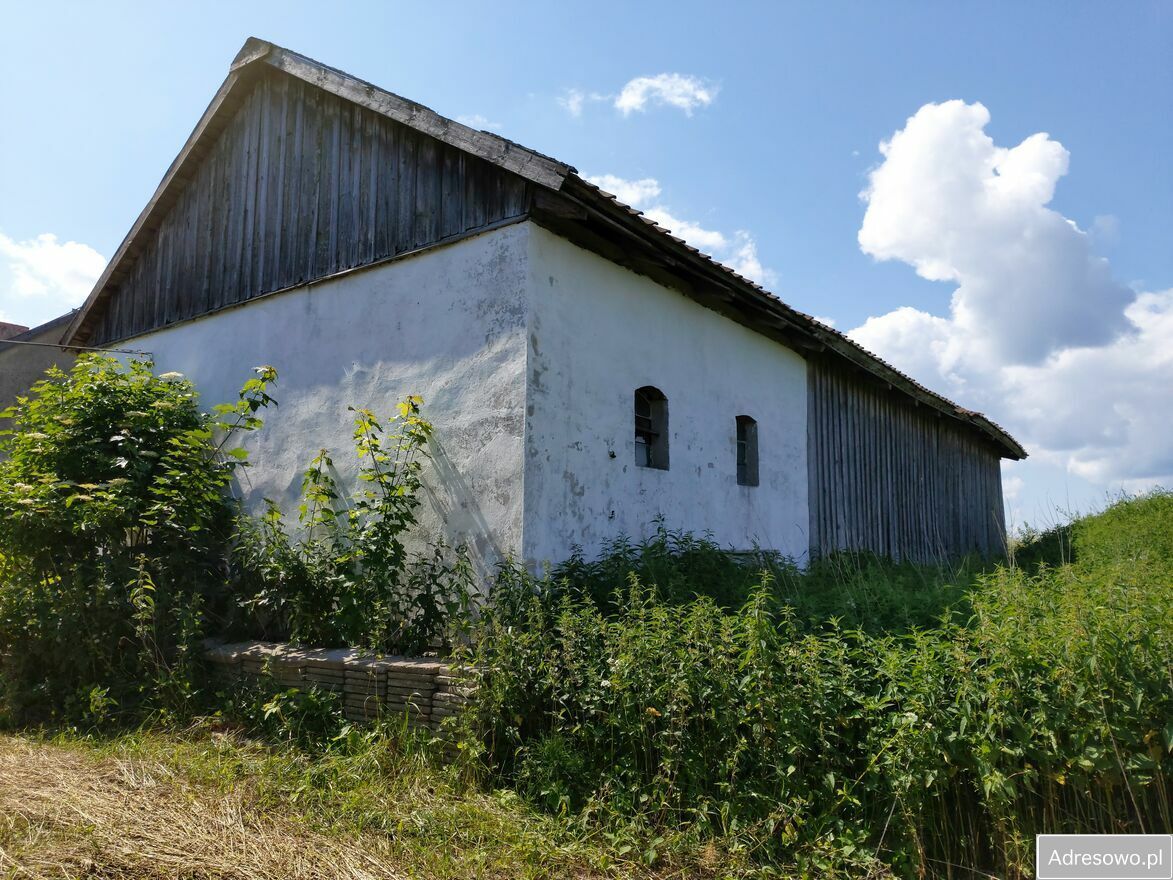 Działka rolno-budowlana Sągnity. Zdjęcie 1