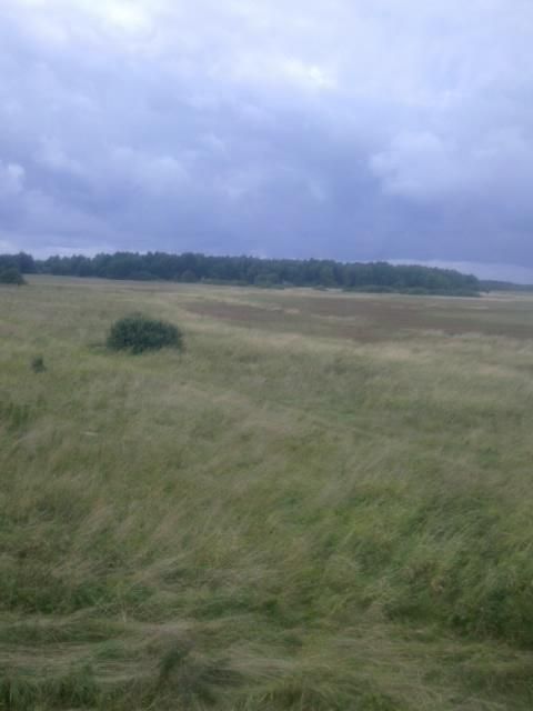 Działka rekreacyjna Barzowice. Zdjęcie 2