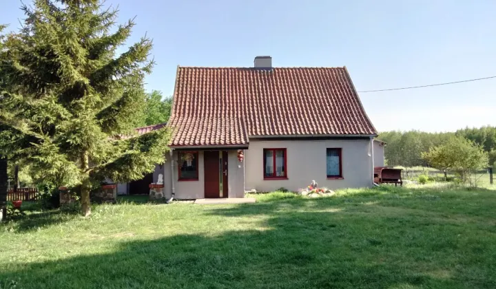 Mieszkanie 3-pokojowe Pajtuny