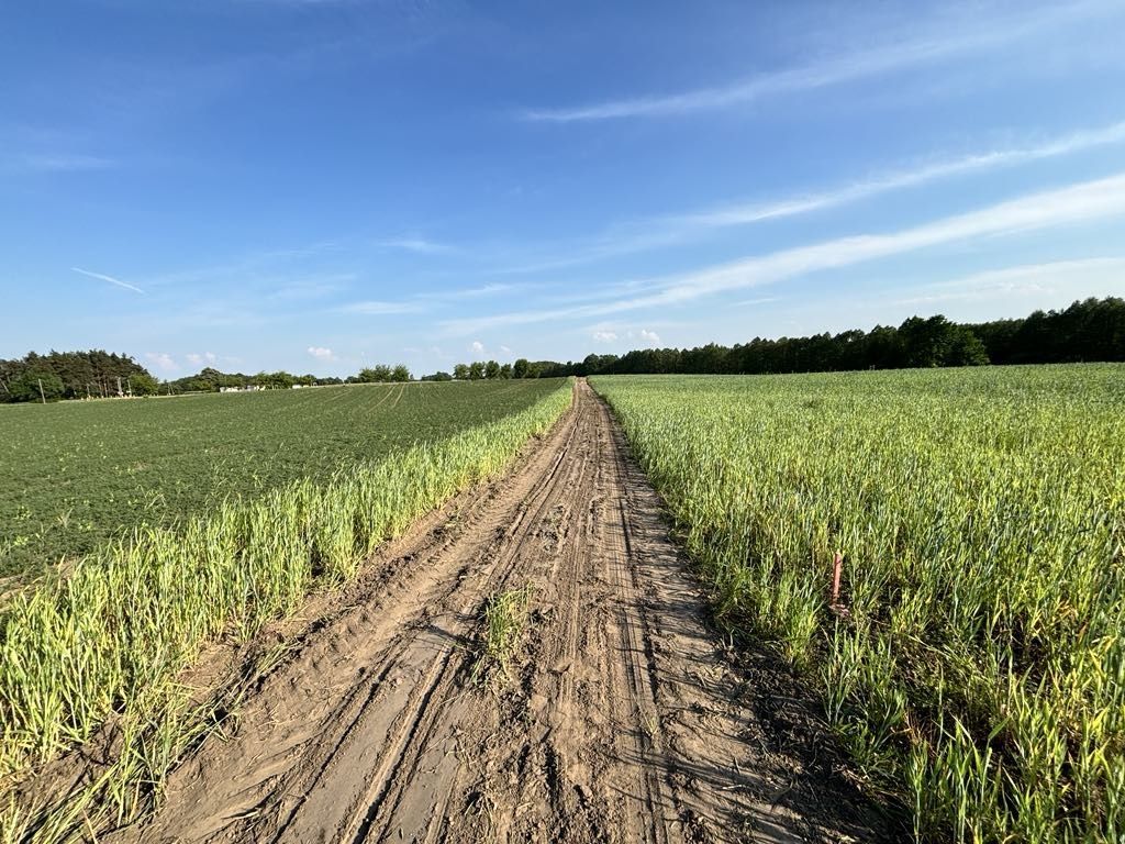 Działka rekreacyjna Lipienica. Zdjęcie 2