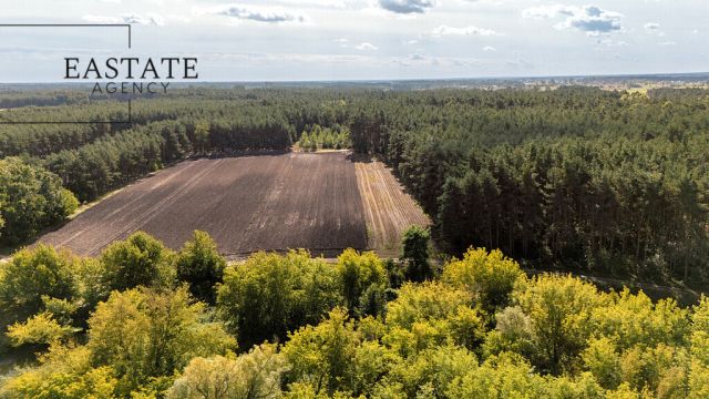 Działka leśna Maurzyce. Zdjęcie 4