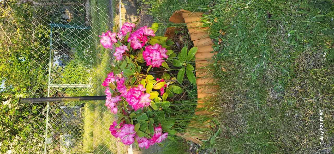 Działka rod Bydgoszcz Prądy, ul. Krzysztofa Candera. Zdjęcie 11