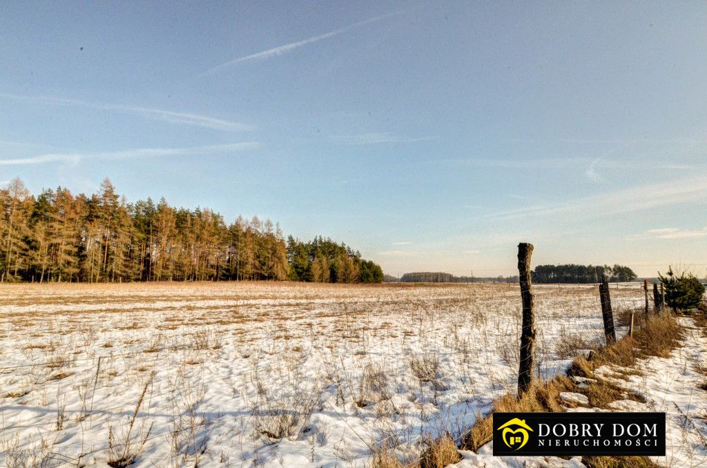 Działka budowlana Serski Las. Zdjęcie 7