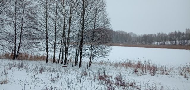 Działka rolna Żegary. Zdjęcie 1