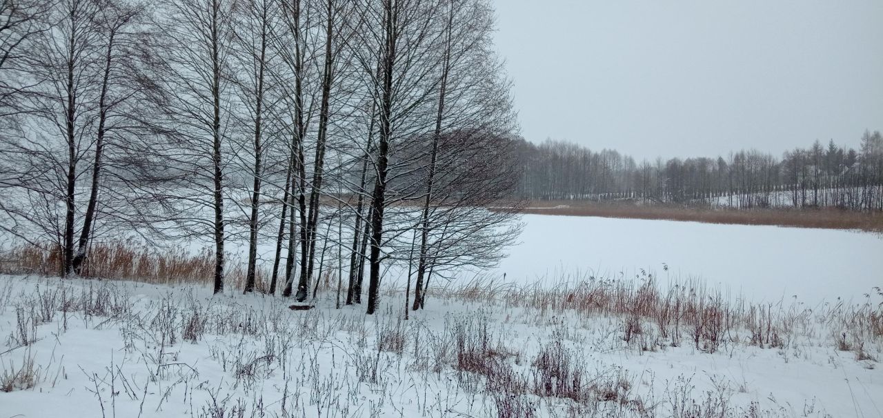 Działka rolna Żegary