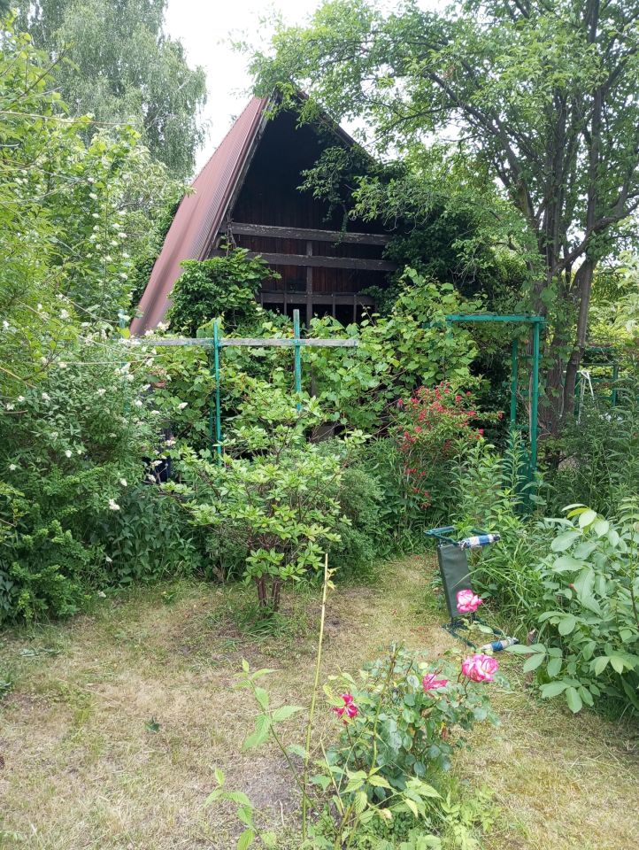 Działka rod Szałe. Zdjęcie 3