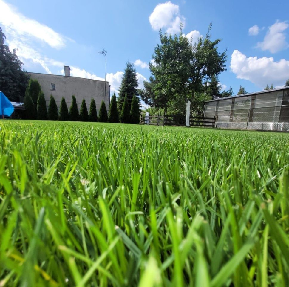 dom letniskowy Sierosław. Zdjęcie 7