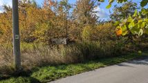 Działka rolno-budowlana Prusicko, Szkolna. Zdjęcie 2