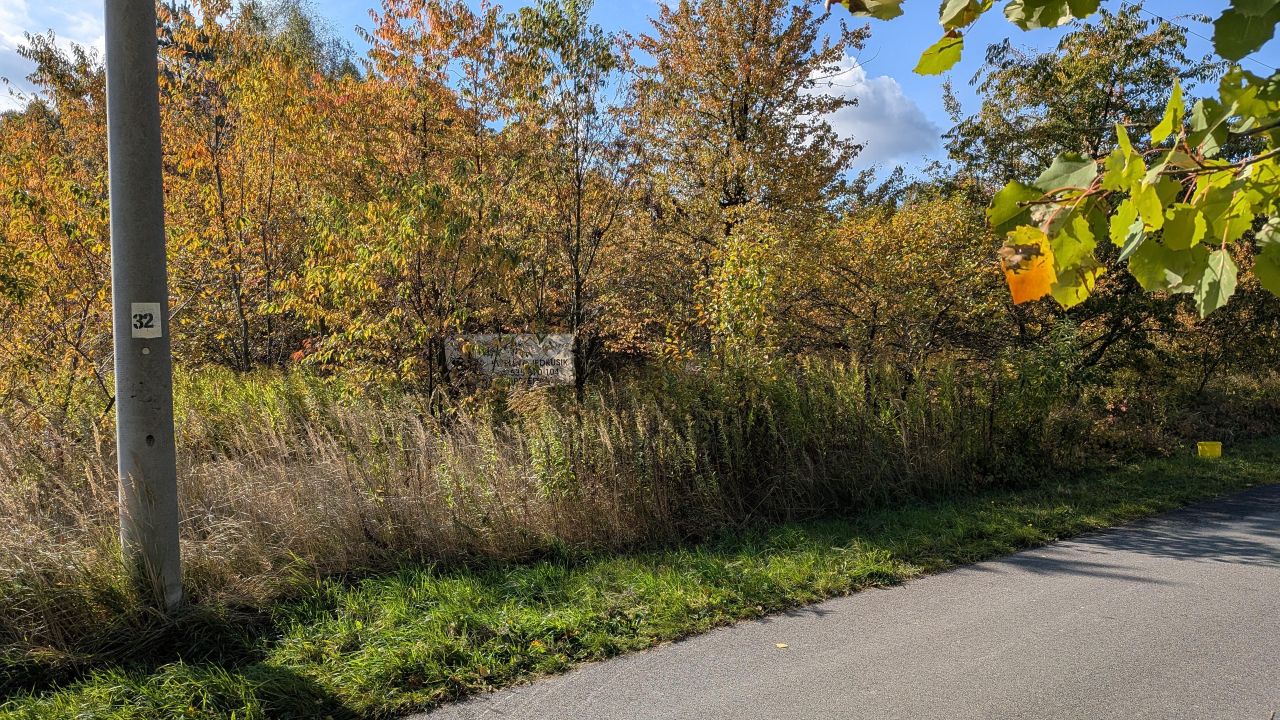 Działka rolno-budowlana Prusicko, Szkolna. Zdjęcie 3