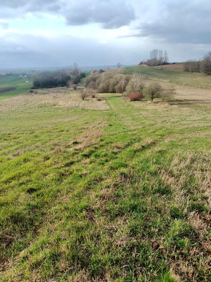 Działka rolna Niechobrz. Zdjęcie 4