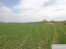 Działka rolna Niwnice. Zdjęcie 1