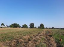 Działka budowlana Borowa. Zdjęcie 4