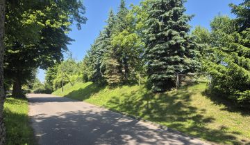 Działka siedliskowa Rychliki