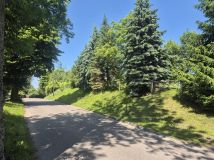 Działka siedliskowa Rychliki. Zdjęcie 1