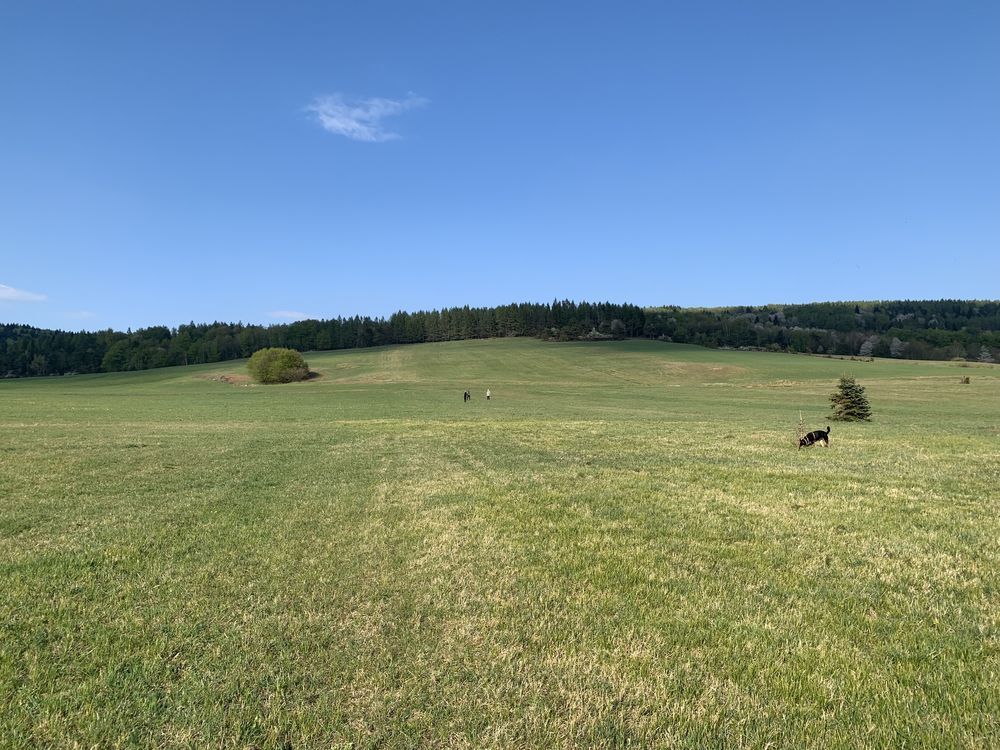 Działka budowlana Zdynia. Zdjęcie 2