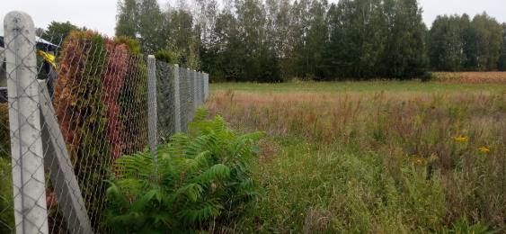 Działka rolno-budowlana Piaski Nowa Wieś. Zdjęcie 11