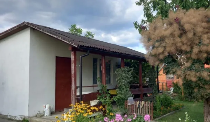 Działka rod Skierniewice