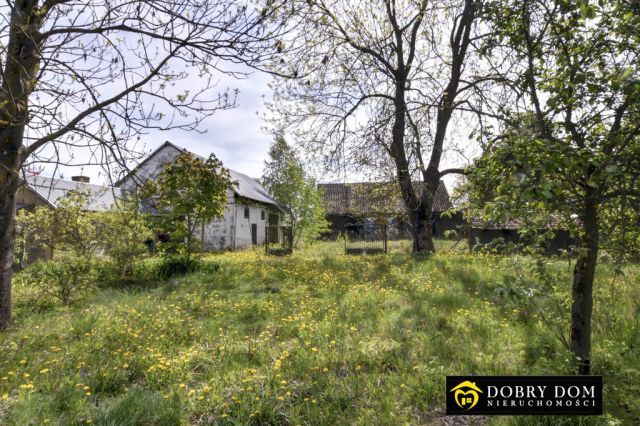 dom wolnostojący, 2 pokoje Sypnie Nowe. Zdjęcie 9