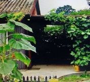 Działka rod Koluszki, ul. św. Stanisława Kostki. Zdjęcie 1