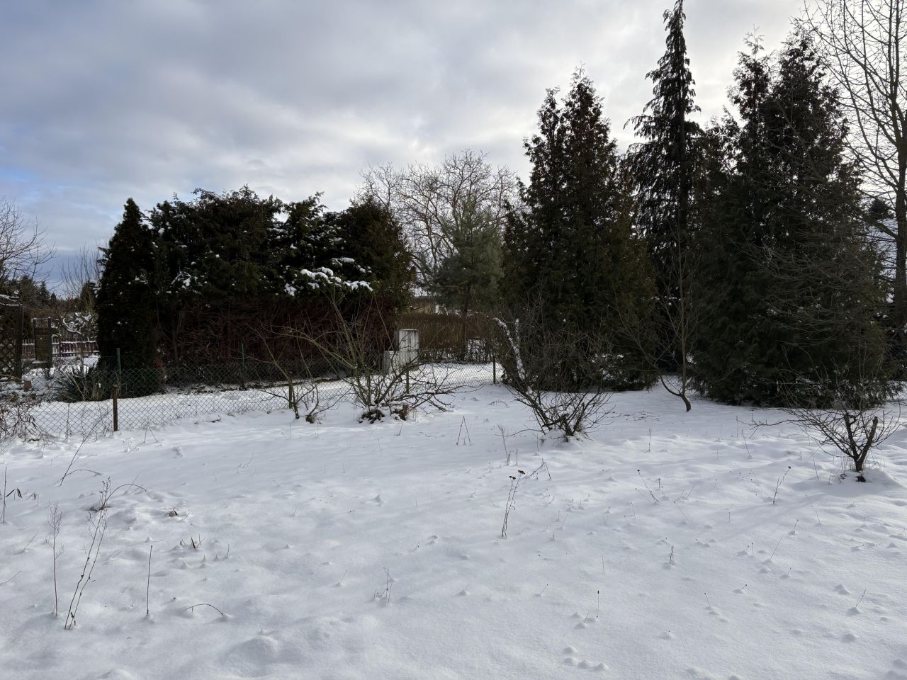 Działka rod Sulechów, ul. Gajowa. Zdjęcie 16