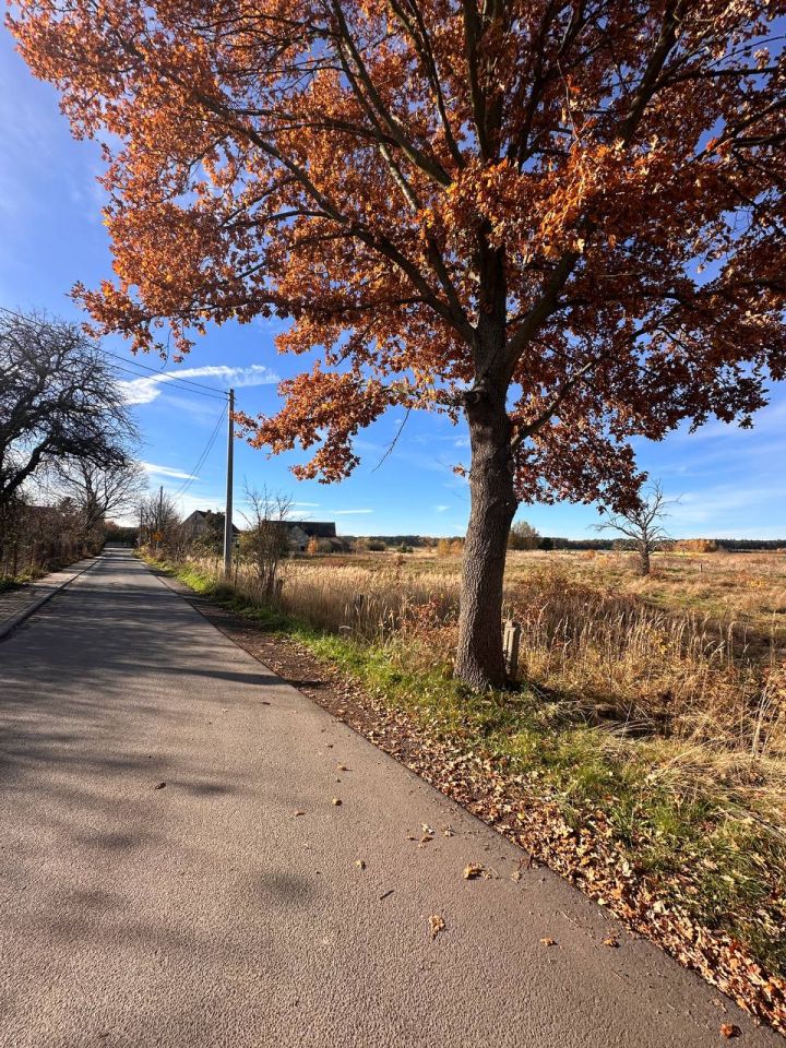 Działka budowlana Chudzowice. Zdjęcie 1