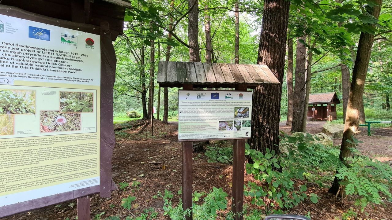Działka budowlana Domaniewice. Zdjęcie 5