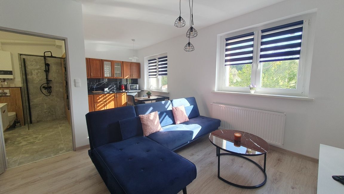 Mieszkanie 2-pokojowe Głuchołazy. Zdjęcie 4