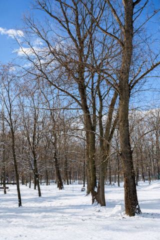 Mieszkanie 2-pokojowe Warszawa Bemowo, ul. Obrońców Tobruku. Zdjęcie 13