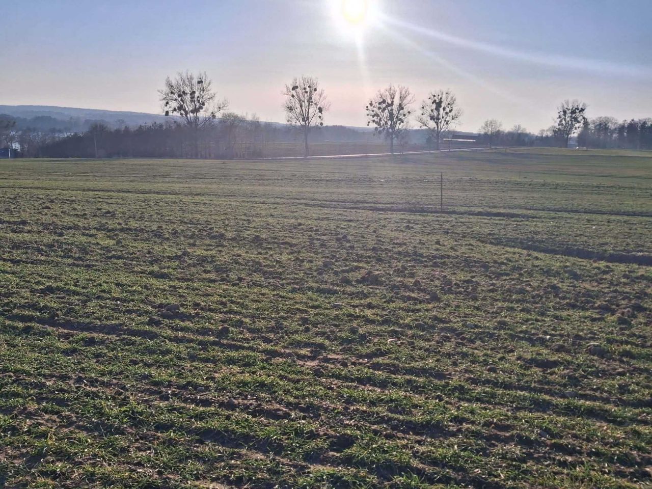 Działka rolno-budowlana Żałe. Zdjęcie 5