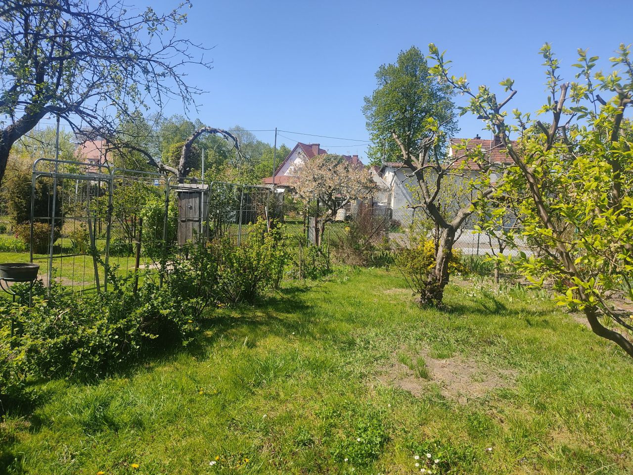 Działka rod Oleśnica, ul. Armii Krajowej. Zdjęcie 7