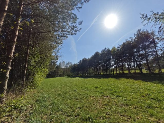 Działka rolno-budowlana Stare Zambski. Zdjęcie 1
